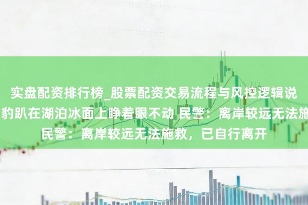 实盘配资排行榜_股票配资交易流程与风控逻辑说明 西藏山南一雪豹趴在湖泊冰面上睁着眼不动 民警：离岸较远无法施救，已自行离开