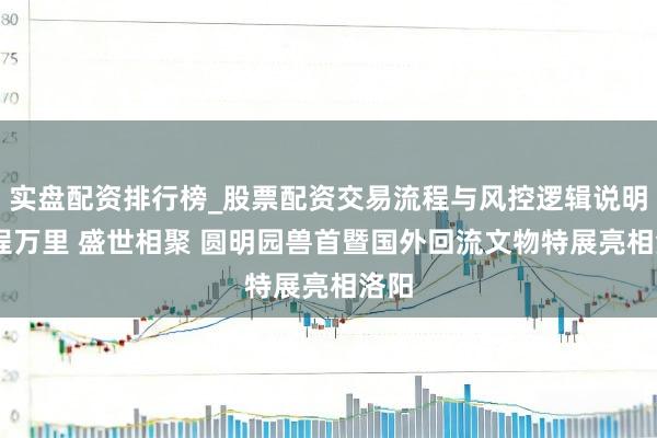 实盘配资排行榜_股票配资交易流程与风控逻辑说明 归程万里 盛世相聚 圆明园兽首暨国外回流文物特展亮相洛阳